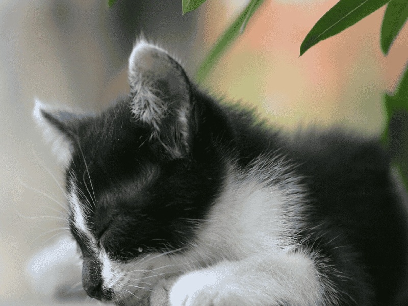 军属试管医院选择乌鲁木齐妇幼能做试管试管氧气安装方法